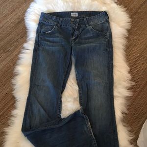 Hudson bootcut jeans